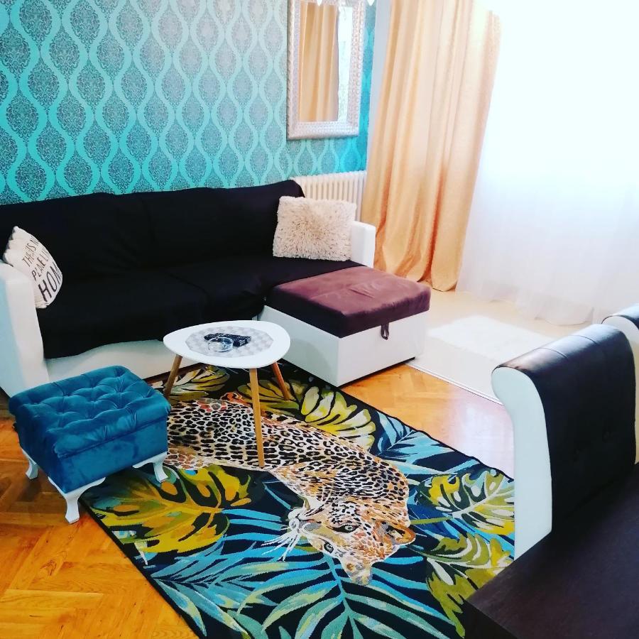 Marina Jacuzzi Apartment Free Parking Novi Sad Extérieur photo