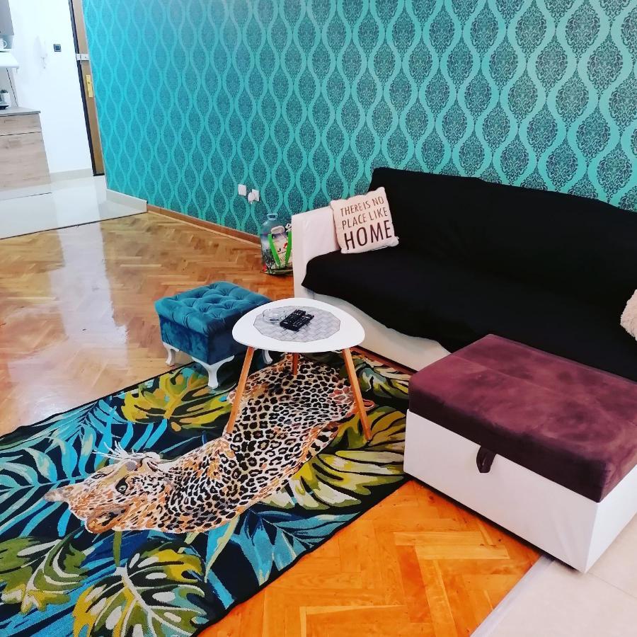 Marina Jacuzzi Apartment Free Parking Novi Sad Extérieur photo