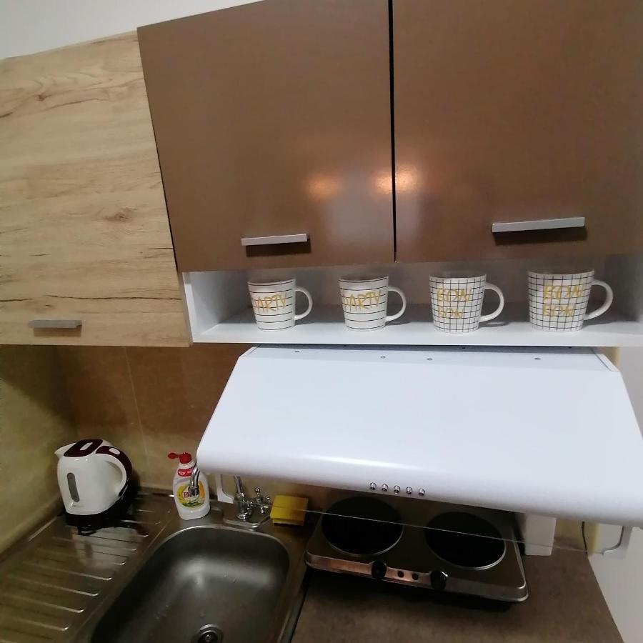 Marina Jacuzzi Apartment Free Parking Novi Sad Extérieur photo