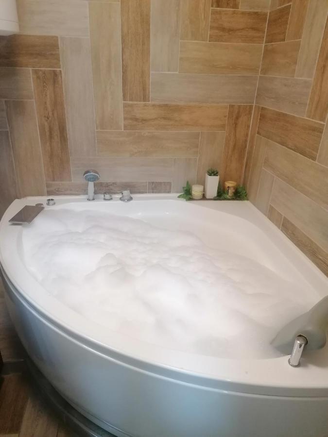 Marina Jacuzzi Apartment Free Parking Novi Sad Extérieur photo